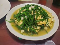 -范记靖远羊羔肉(博物馆店)