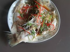 -田螺阿姨自营月嫂·育儿嫂(高新店)