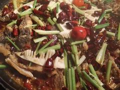 -老板恋上鱼(印象城店)