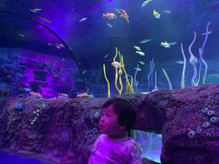 -沈阳海洋探索中心