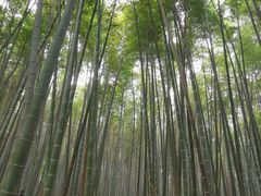 -同里国家湿地公园