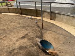 -前小桔亲子创意农场·草莓采摘·露营烧烤