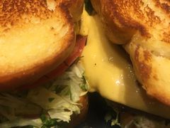 -The Habit Burger Grill 哈比特汉堡(爱琴海店)