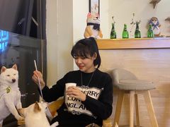 -柴犬小屋·柴餐厅·狗咖食堂(金鼎广场店)