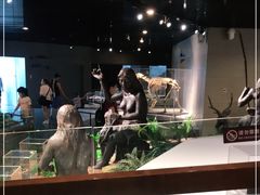 -北京周口店北京人遗址博物馆