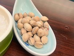 -黑松白鹿(金融街店)