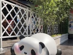 -轩客会(熊猫书店)