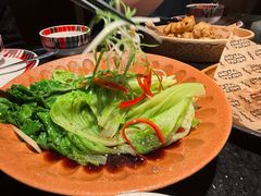 -塔哈尔·新疆盛宴(复地活力城店)