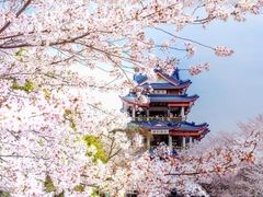 -拙政园