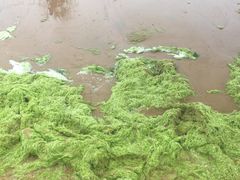 -青岛银沙滩