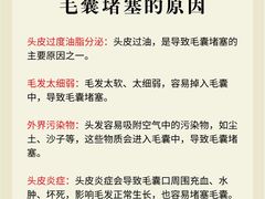 -中国农业大学(西校区)