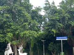 -三亚红色娘子军演艺公园景区