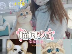 -lincat·猫舍(广州店)