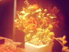 android_upload_pic-Yum Bistro