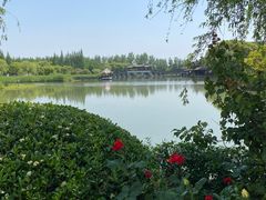 -沙家浜风景区