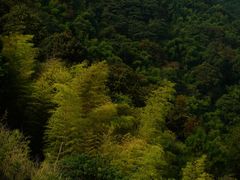 -缙云山景区