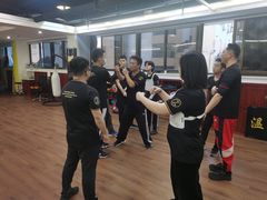 -温鉴良实用咏春拳