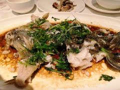 清蒸笋壳鱼-博多新记·粤菜(复兴店)
