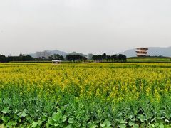 -光明小镇欢乐田园