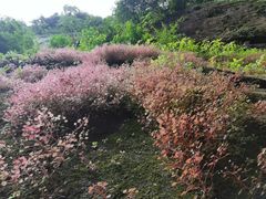 -武夷山风景名胜区-虎啸岩