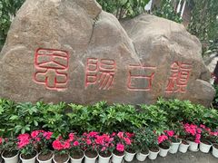 -恩阳古镇
