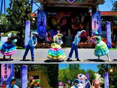 -苏州乐园森林水世界