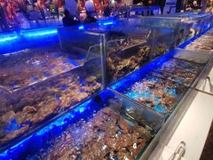 -SEA西雅图海鲜自助餐厅(正义店)