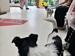 -御宝贝24h宠物医院·转诊中心·CT核磁血透中心(厦门总院)