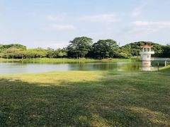 -东莞植物园