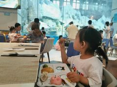 -帝企鹅自助餐厅•儿童岛•真企鹅(长隆企鹅酒店)
