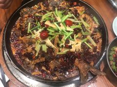 -老板恋上鱼(振华商厦店)