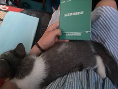 -心仪动物医院·牙专科·肿瘤·心脏科(西客站院)