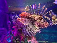 -沈阳海洋探索中心