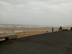 -日照海滨国家森林公园