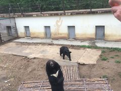 -青岛森林野生动物世界