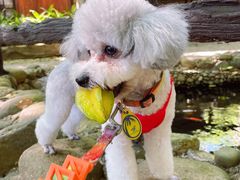 -海南槟榔谷黎苗文化旅游区