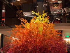 -秀儿四九城·新京菜(亚运村鸟巢店)