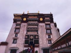-古树酸奶(八廓南街店)