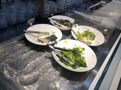 -Green Option(官舍店)
