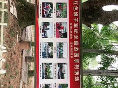 -红色娘子军纪念园