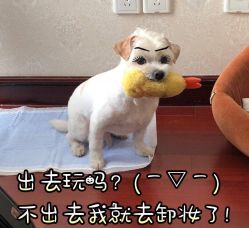 点击看大图 -崇尚GAVIN STYLE