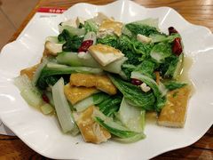 -老雒阳面馆·水席·洛阳菜(王城路店)