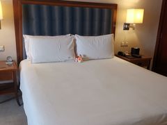 -惠州康帝国际酒店