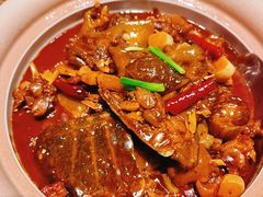 红烧甲鱼-千滋百味·醉江澜花园餐厅(街道口店)