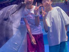 -海合安武汉极地海洋公园