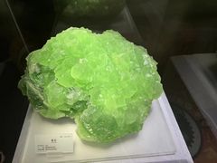 -湖南省地质博物馆