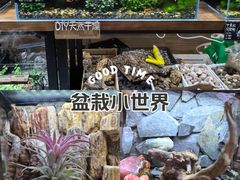 -凯德MALL(望京店)