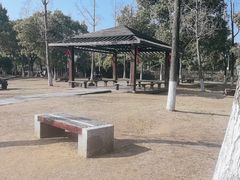 -苏州太湖湖滨国家湿地公园