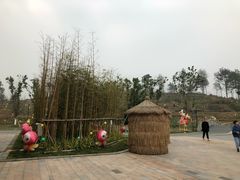 -黄龙溪欢乐田园