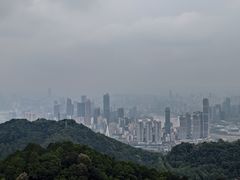 -大金鹰园